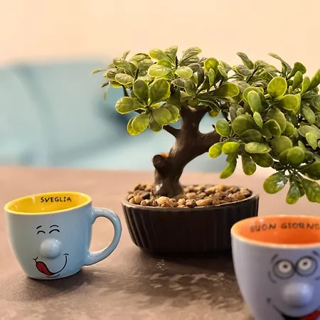 公寓 Design House Bergamo - Terrace & Private Parking *